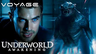 Underworld Awakening  Fighting The Starving Lycan  Voyage [upl. by Neicul667]