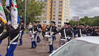 Camlachie Loyal Star Flute Band  Gourock Boyne Celebrations 29thJune 2024 [upl. by Thaxter]