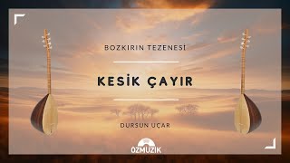 Bozkırın Tezenesi  Kesik Çayır [upl. by Drofub]