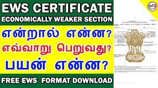 EWS CERTIFICATE என்றால் என்ன HOW TO APPLY ECONOMICALLY WEAKER SECTION CERTIFICATE  TAMIL BRAINS [upl. by Bertie]