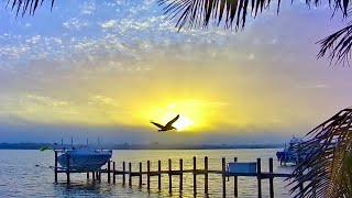 Siesta Key Live  Relaxing Sounds of Calm Waves and Island Life [upl. by Latsirc259]