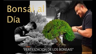 quotFERTILIZACION DE LOS BONSAISquot en Bonsái al Día [upl. by Attiuqehs]