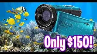 Cheap 150 dollar Camcorder goes Underwater Motion Activated Security cam [upl. by Emmer]