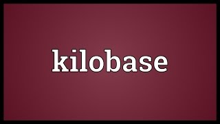 Kilobase Meaning [upl. by Lubow]