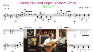 櫻花樹下 Cherry Pink and Apple Blossom White  Guitar Solo [upl. by Griff]