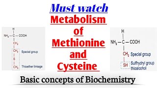 Methionine Metabolism  Homocysteine  Cysteine  Folate trap  biochemistry [upl. by Esemaj]