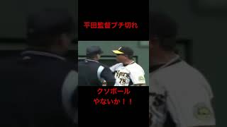 平田監督ブチ切れくそぼーるやないか！！ [upl. by Acisseg]