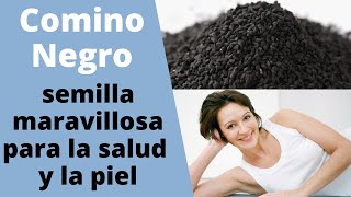 Comino negro beneficios para la salud [upl. by Dunaville811]