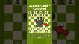 Win Queen in Queens Gambit Accepted 👸 queensgambit chessgambit [upl. by Bria]