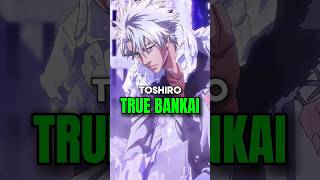 Adult Hitsugaya Toshiro True Matured Bankai Explained  Bleach Tybw Adult Toshiro Bankai [upl. by Dodson975]