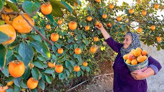 Drying Harvested Persimmons and Baking Traditional Baklava in the Village [upl. by Acirea940]