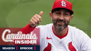 Descalso Back in STL  Cardinals Insider S9 E9  St Louis Cardinals [upl. by Tamaru841]