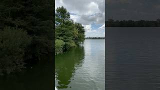 Lady bird lake austin texas usa [upl. by Lladnew]