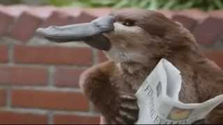 TV Commercial  Lunchables  New Spokesman  Talking Platypus Smoothie Kabobbles [upl. by Urania]