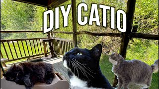 BUILDING A DIY quotCATIOquot FOR OUR CATS [upl. by Iviv]