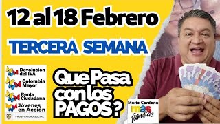 👉 12 al 18 De FEBRERO TERCERA SEMANA QUE PASARA Con Los PAGOS PROGRAMAS SOCIALES❓ [upl. by Sully]