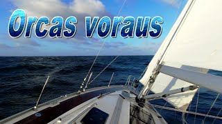 Segeln  Orcas voraus⛵❄️ 109 [upl. by Allisirp958]