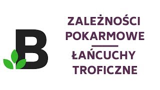 Zależności pokarmowe Łańcuchy troficzne  ekologia  KOREPETYCJE z BIOLOGII  165 [upl. by Ford]