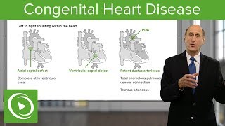 The Easy Way to Understand Congenital Heart Disease 🫀  Cardiology [upl. by Conyers]