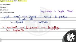 Zygotic meiosis is characteristic of [upl. by Kaliski]