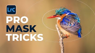 New EDITING TRICKS Using PRO Lightroom Masks [upl. by Adnovaj]