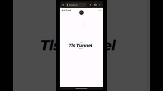 TLS Tunnel web browsing with data packageget access to other websites vpn tlstunnel new [upl. by Nylhtac]