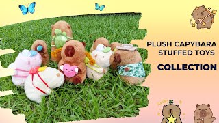 Capybara Plush Toys Collection  Bring Home the Cuteness  The Perfect Holiday Gift Ideas [upl. by Nnaycart117]