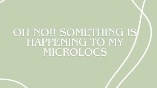 MICROLOCS UPDATE I Need Help  What has been going on with my locs [upl. by Yelsgnik]