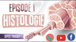 Episode 1HistologieLe tissu épithélial [upl. by Maurilla]