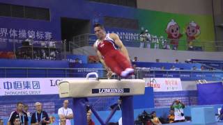 Alex Naddour  Pommel Horse  2014 World Championships  Podium Training [upl. by Melbourne]