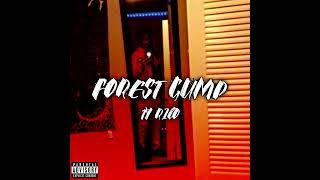 Ty Rico  Forest Gump Official Audio [upl. by Lamar368]