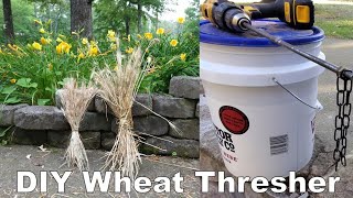 The Easiest Way to Thresh and Winnow Wheat by Hand [upl. by Slohcin]