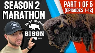 Cross Timbers Bison SEASON 2 MARATHON Part 1 of 5 [upl. by Enirehtahc]