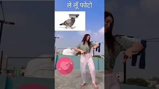 Kabootri Chambo chali 😄😅😜🥰 Kit Chali कित चाली बन के कबूतरी Kabootri viralsong haryanvistatus [upl. by Sylera]