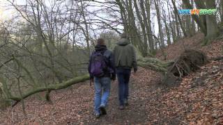 Wandern in RheinlandPfalz auf dem Höhlen und Schluchtensteig Romantischer Rhein [upl. by Flannery]