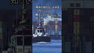 「ブランド米輸出」「くず米大量輸入」つまり、貧富の格差が広がっているって事 米騒動 米 令和の米騒動 お米チャンネル お金 米不足 米がない [upl. by Ally]