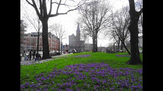 Lentekriebels Amsterdam 2024 Noord Zuid Centrum West en NieuwWest [upl. by Bergstrom]