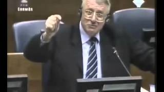 Seselj i ekspert Oberšal  matematika i fizika za 8 razred [upl. by Noryt]