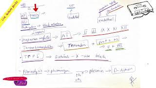 Antithrombotic mechanisms part Hemostasis LIVE by COILED in ENGLISH [upl. by Coryden]