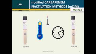 modified Carbapenem Inactivation Method mCIM [upl. by Nodnar965]