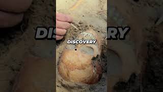 A Mindblowing Archeological Discovery shorts [upl. by Mezoff]