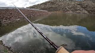 Ultralight fishing bass Prineville reservoir [upl. by Hance]