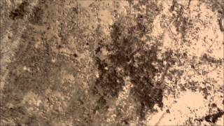 Water Damaged Solid Plaster Repair [upl. by Annairt]