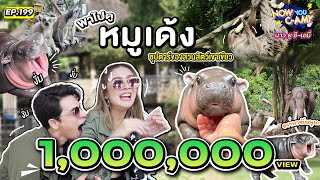 Now You CAmy EP199 I พาไปดู หมูเด้ง ซุปตาร์ของสวนสัตว์เขาเขียว [upl. by Edaw]