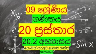 grade 9 maths202 අභ්‍යාසය20 ප්‍රස්තාර nuwana [upl. by Laryssa]