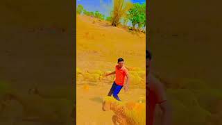 Mahlo ki rani dukh se begani lag jaye na dhup tujhe super song dance music youtube [upl. by Nwahsit]