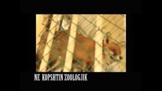 Kopshti zoologjik Tirane Nga ILIR ÇUÇI [upl. by Sherilyn]