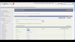 Customize and Rename Tabs in Salesforce [upl. by Ennaira]