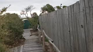 Slangkop Tented Camp in Western Cape [upl. by Itsirc]