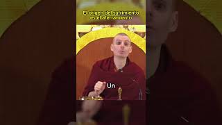 El sufrimiento nace del apego  Lama Rinchen Gyaltsen reprogramatumente [upl. by Maddock]